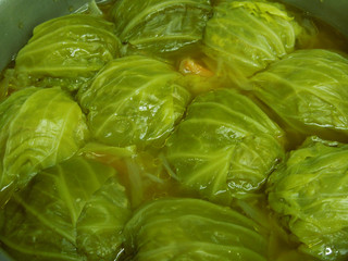 resize0009.jpg